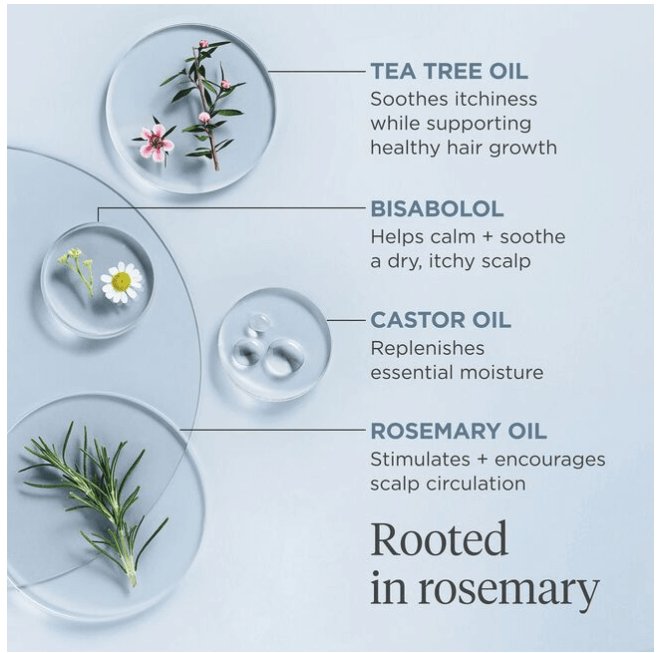 Product Image for Briogeo Scalp Revival Rosemary Pre-Wash Oil