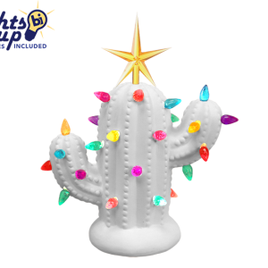 Product Image for Small Christmas Cactus with Light Kit