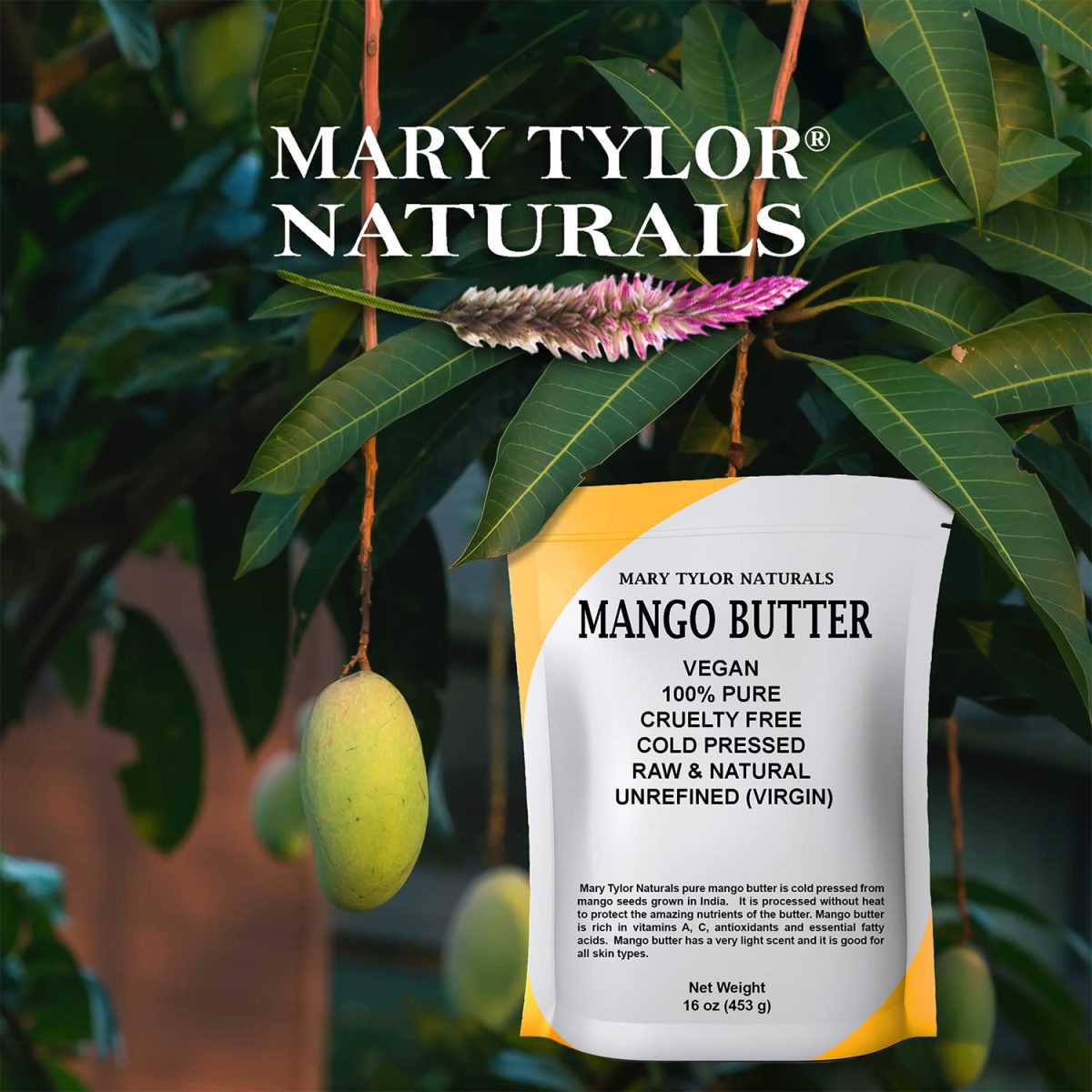 Product Image for Mary Tylor Naturals Mango Butter 1 lb Cold Pressed, Unrefined,Raw Pure Mango Butter —