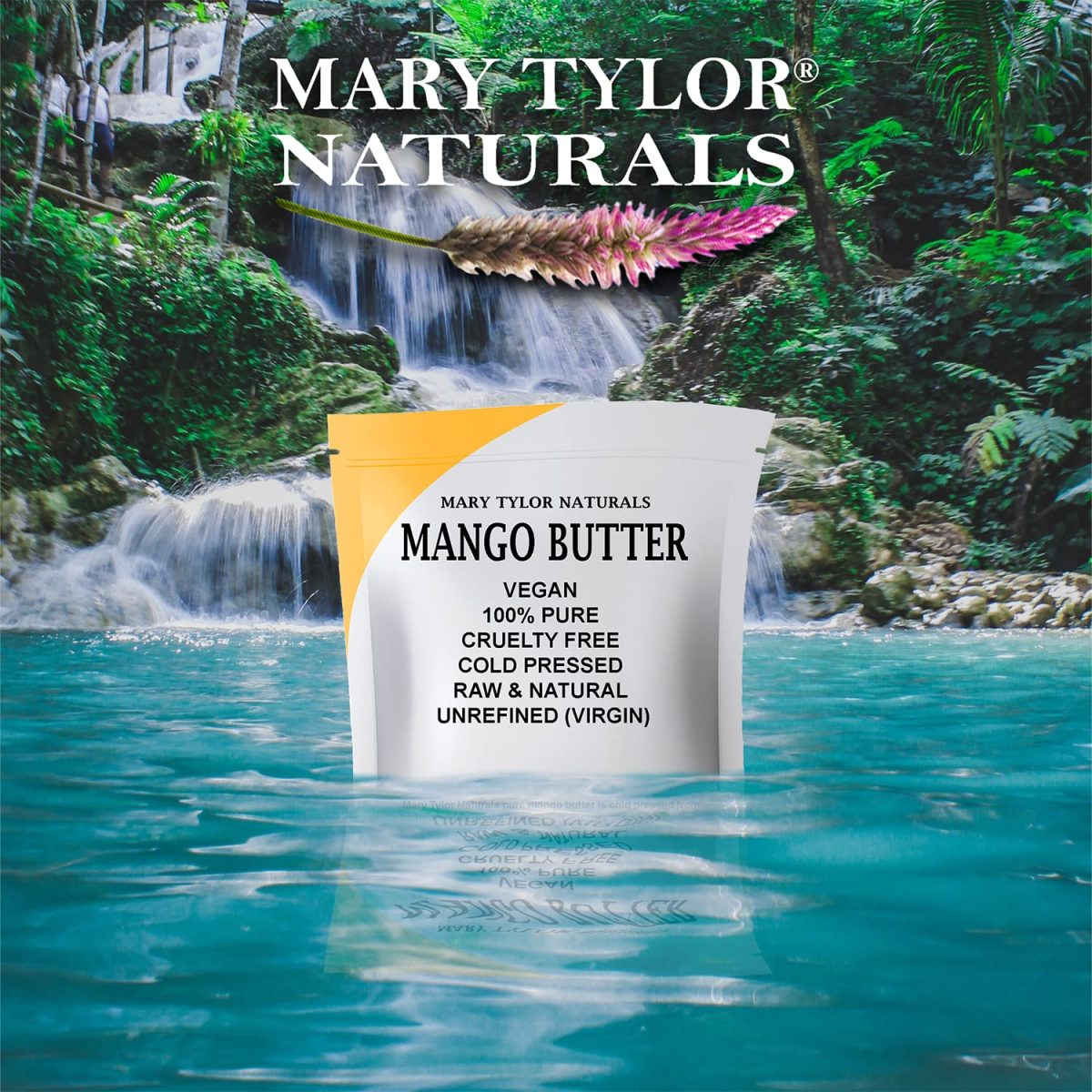 Product Image for Mary Tylor Naturals Mango Butter 1 lb Cold Pressed, Unrefined,Raw Pure Mango Butter —
