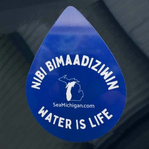Product Image for  Water Is Life! Decal