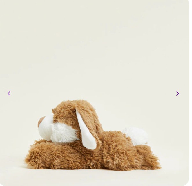 Product Image for Warmies Stuffed Animal
