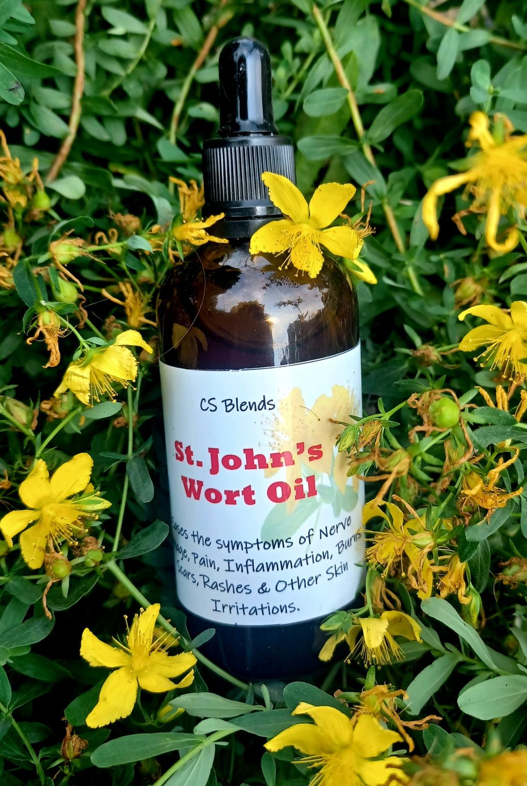 Product Image for Saint John’s Wort Oil