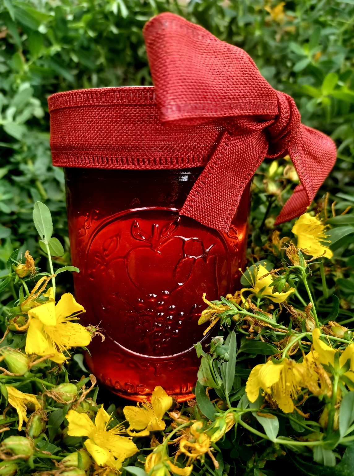 Product Image for Saint John’s Wort Oil