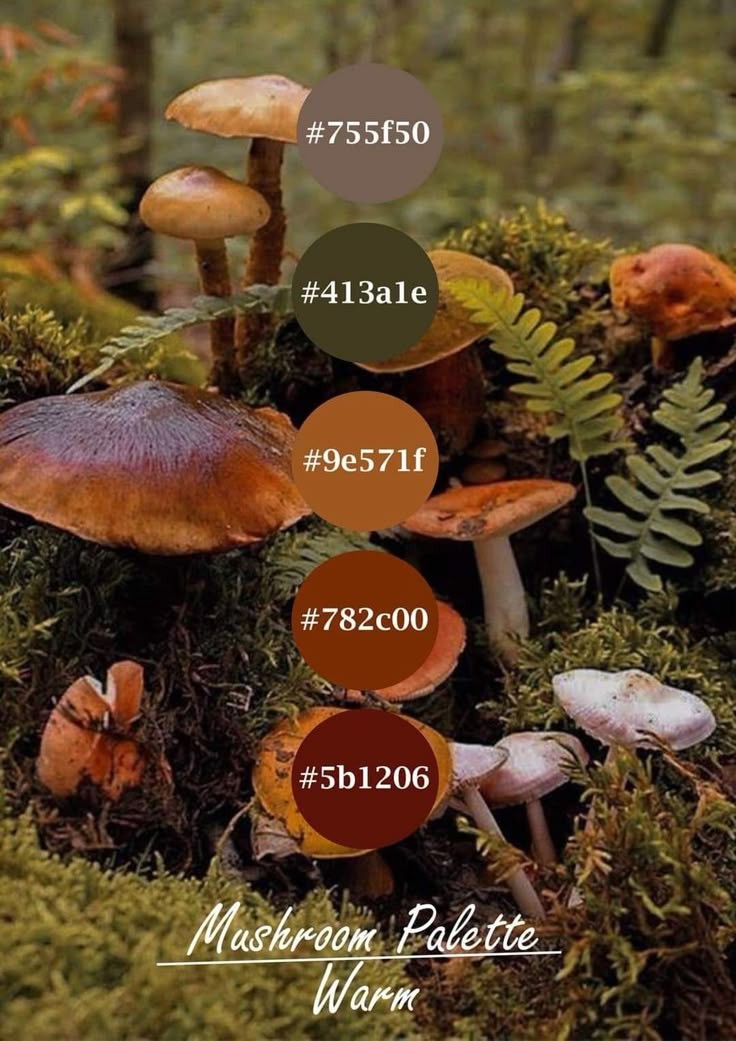 Product Image for Palette Basics