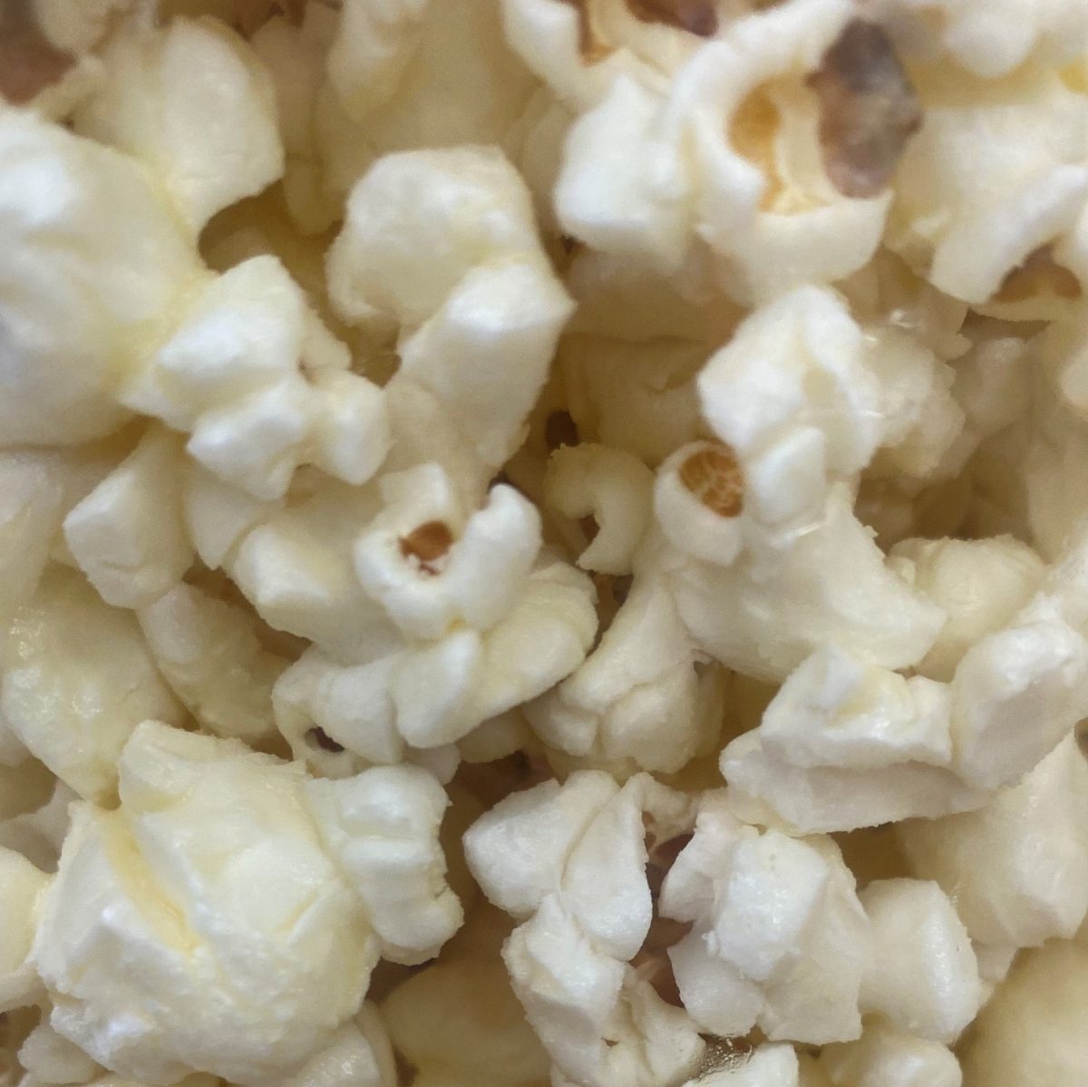 Product Image for White Cheddar Cheese