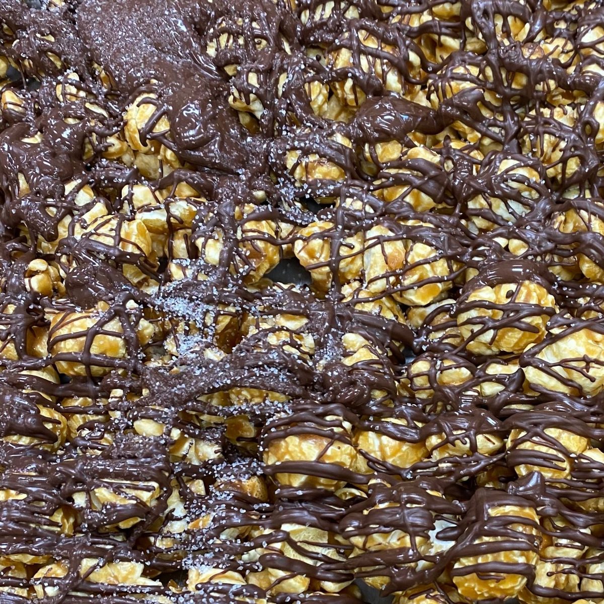 Product Image for Sea Salt Dark